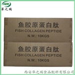 魚膠原蛋白肽